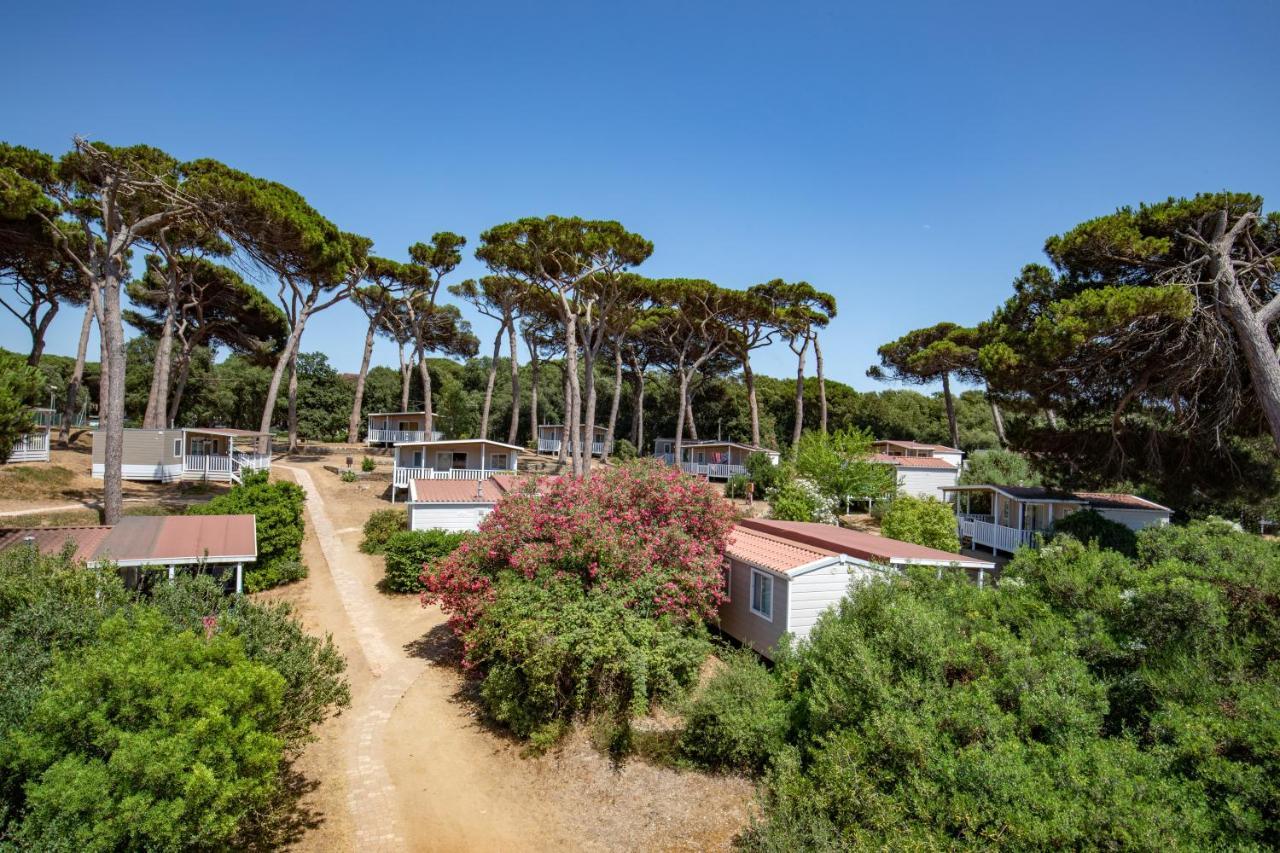 Parco Della Gallinara Lido dei Pini Dış mekan fotoğraf