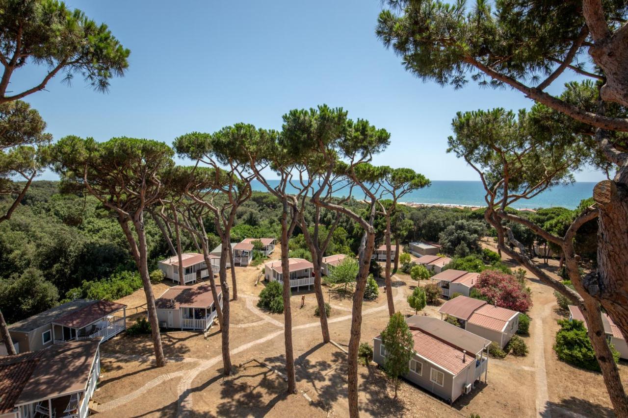 Parco Della Gallinara Lido dei Pini Dış mekan fotoğraf